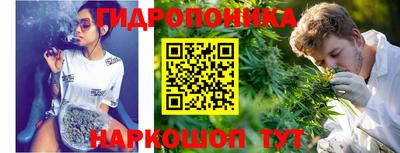 apvp Лениногорск